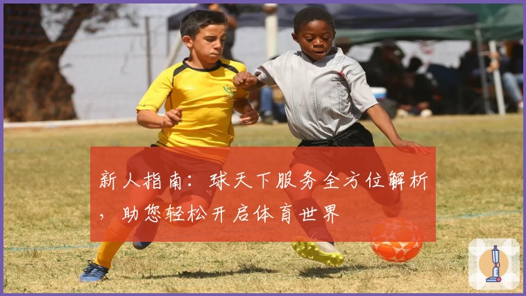 新人指南：球天下服务全方位解析，助您轻松开启体育世界