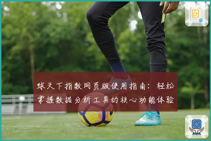 球天下指数网页版使用指南：轻松掌握数据分析工具的核心功能体验