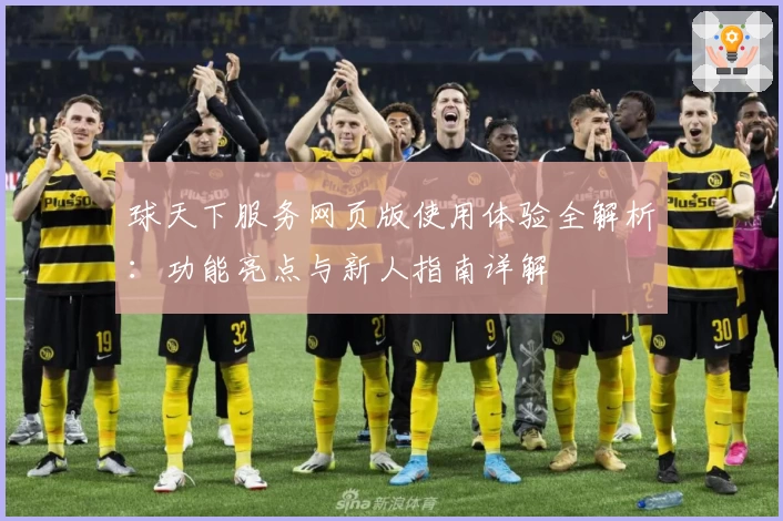 球天下服务网页版使用体验全解析:功能亮点与新人指南详解
