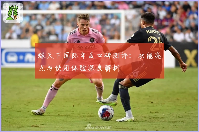 球天下国际年度口碑测评：功能亮点与使用体验深度解析