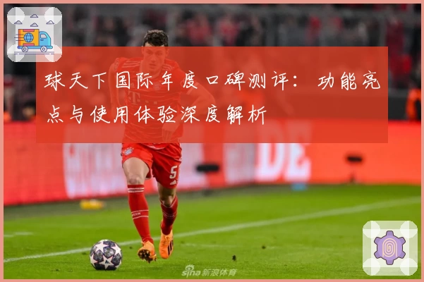 球天下国际年度口碑测评：功能亮点与使用体验深度解析