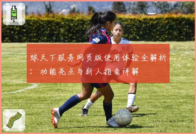 球天下服务网页版使用体验全解析：功能亮点与新人指南详解