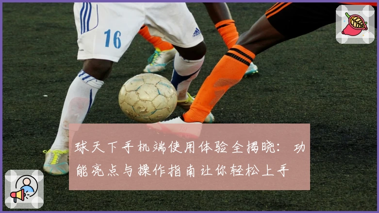 球天下手机端使用体验全揭晓：功能亮点与操作指南让你轻松上手