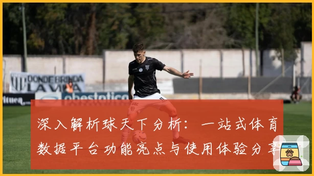 深入解析球天下分析：一站式体育数据平台功能亮点与使用体验分享