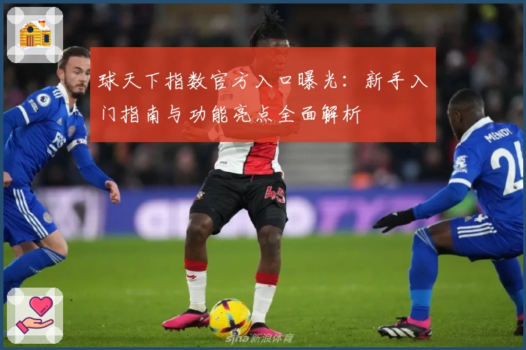 球天下指数官方入口曝光：新手入门指南与功能亮点全面解析